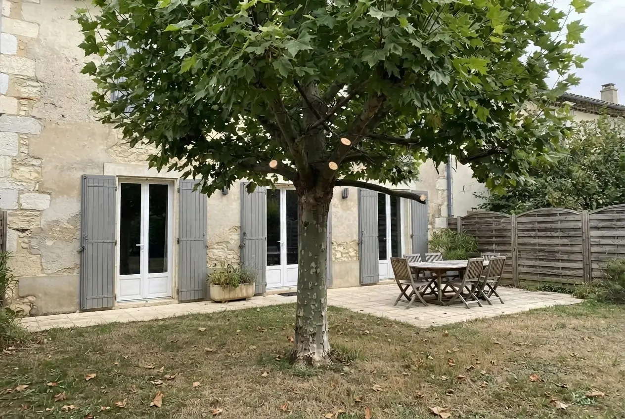 Houppier sécurisé après taille sanitaire douce à Valence