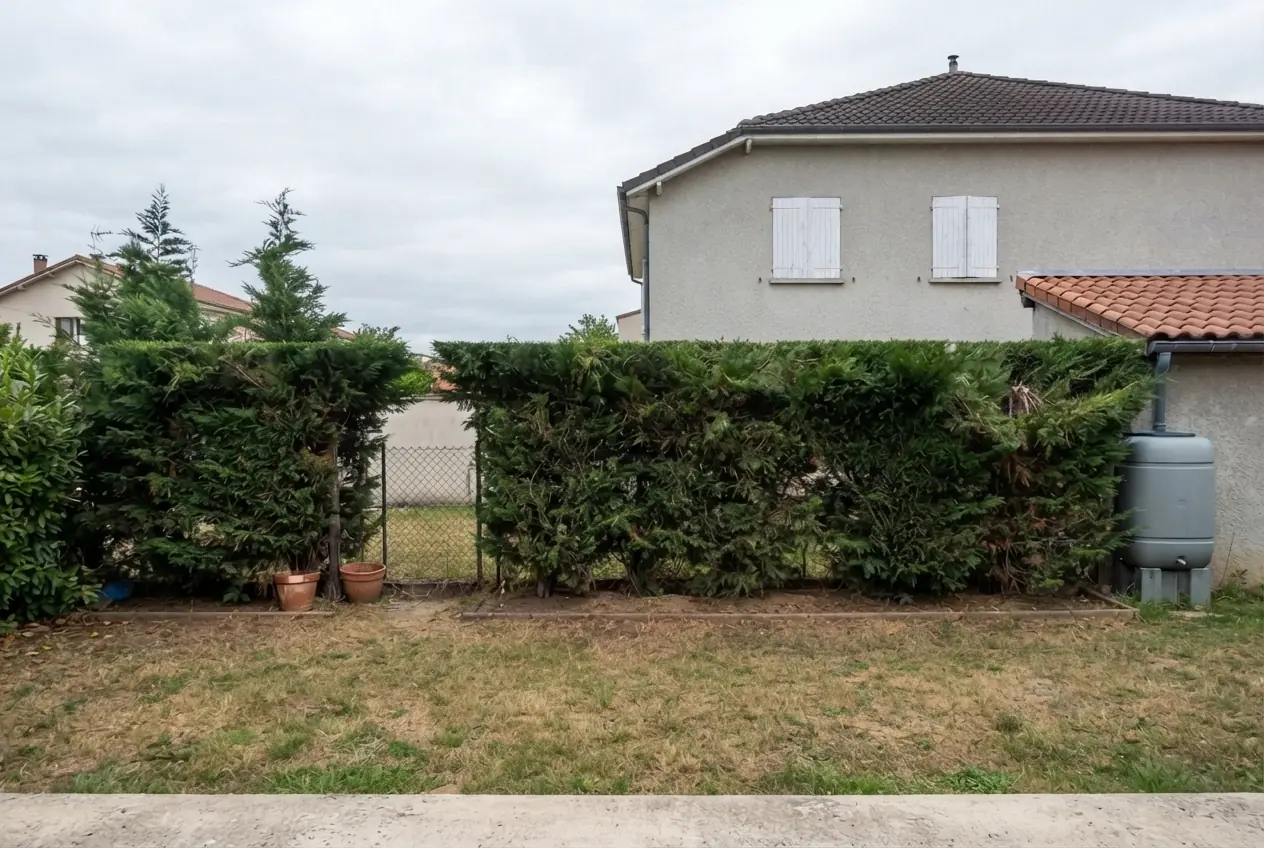 Haie de cyprès restructurée à Portes-lès-Valence
